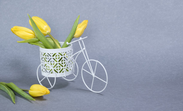 灰色背景上有一束黄色郁金香花的白色玩具自行车。文本复制空间图片下载