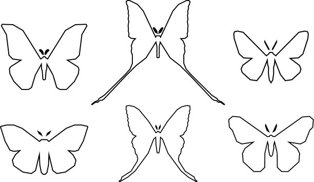 设置各种飞蛾的图标隔离在白色上图片下载