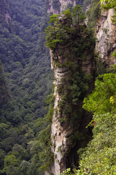 阿凡达飞山图片下载
