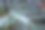 热带树叶特写照片。异国情调的园林植物。深绿色叶的背景。植物园中的热带植物，叶雕。异国情调的叶子穆迪色调模板图片下载