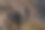 兄弟姐妹徒步沿着小路在山上的股票照片图片下载