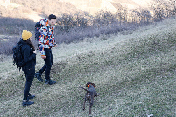 兄弟姐妹徒步沿着小路在山上的股票照片图片下载