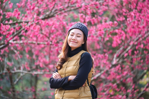 一个美丽的年轻亚洲女人与粉红色樱花的背景图片下载