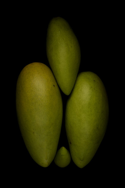 生长在热带的芒果果实为国家出口国外芒果图片显示水果在黑色背景上的发展图片下载