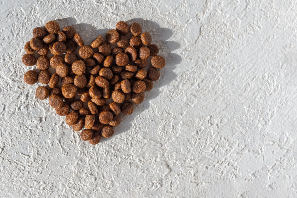 白色石膏背景上的心型狗和猫的干粮，复制空间，俯视图。图片下载