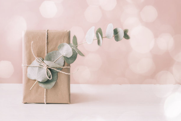 一个有桉树枝条的礼品盒。柔和的背景与散景。素材图片