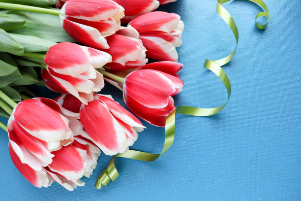 漂亮的一大束郁金香和文字空间图片下载