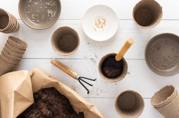 环保秧苗花盆图片下载