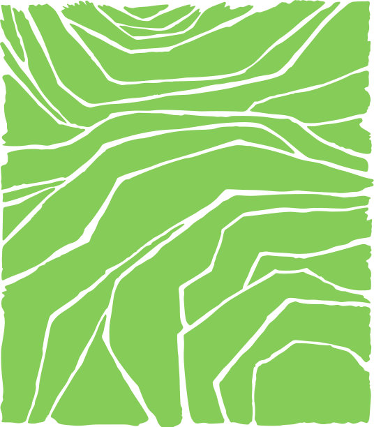 梯田上的水稻或茶园图片下载