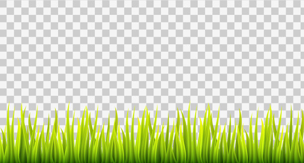 绿春草边图片下载