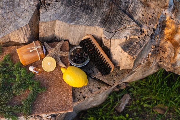 零废物家居清洁理念。环保自然清洁工具和产品，竹刷，柠檬，小苏打。没有塑料,环保。俯视图，平放。户外照片在树桩和草地上图片下载