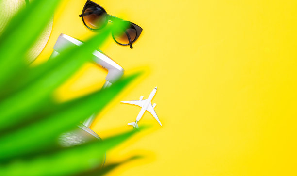 海的背景。旅行配件与手提箱，白色飞机，棕榈叶在最小的旅行度假概念上的黄色背景。宁静的海滩景色与复印空间。图片下载