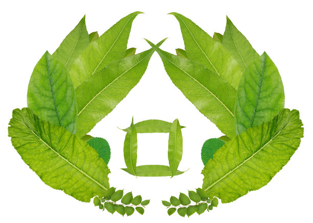 绿色软管概念由树叶。孤立的图片下载