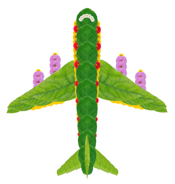 飞机的标志符号由叶子和花。孤立的图片下载