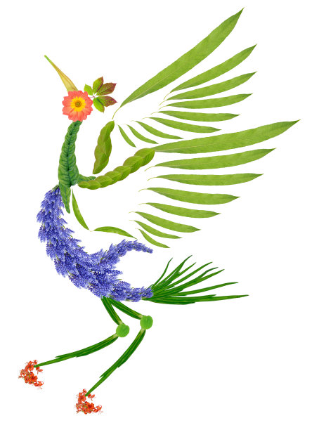跳舞的极乐鸟是由花朵和树叶组成的。孤立的图片下载
