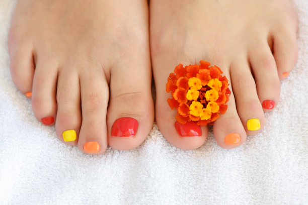 女性脚与彩色足部与红橙色的花。软焦点图片图片下载