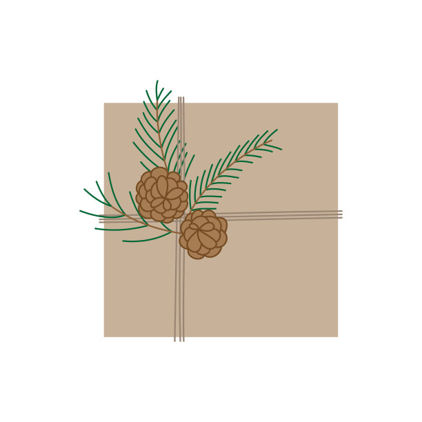 自然的圣诞礼物图片下载