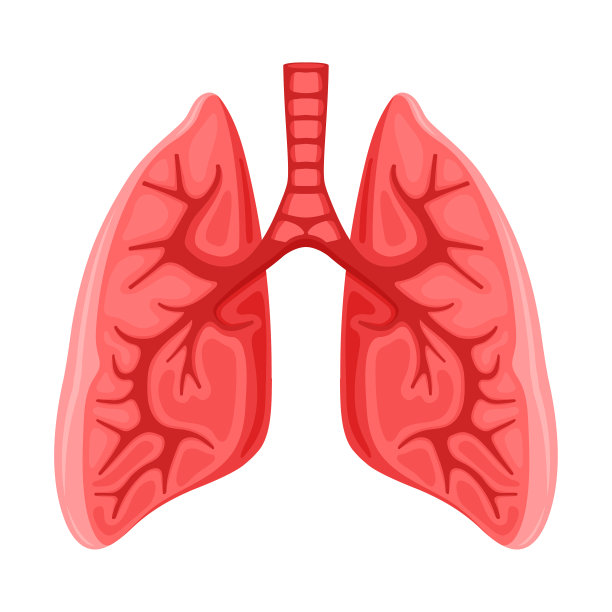 人体健康肺图标图片下载