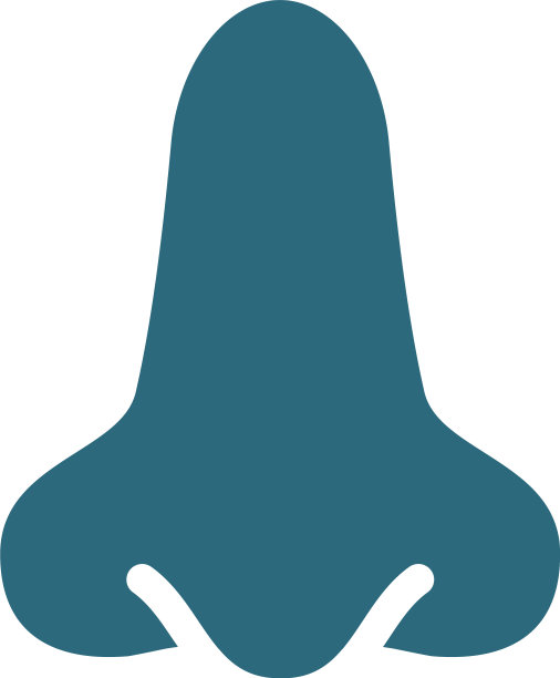 人鼻子彩色图标的健康嗅觉器官图片下载