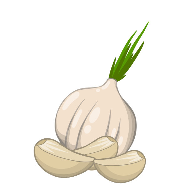 大蒜。辣的蔬菜。载体天然产物孤立在白色图片下载