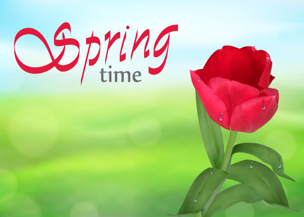 春天郁金香在绿色和蓝色的大自然图片下载