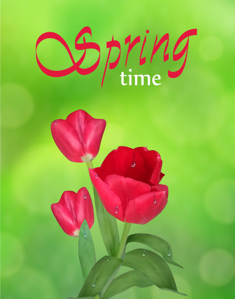 春天的郁金香在绿色的自然背景下图片下载