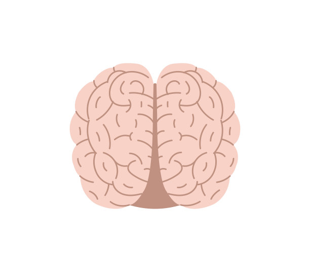 健康人脑，思维器官载体插图孤立在白色背景上。图片下载