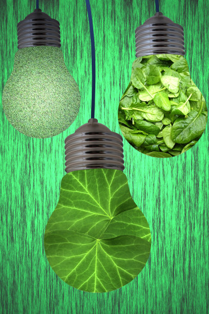 电灯泡，可持续能源，环保图片下载