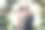一男一女穿着婚纱在花拱下拥抱。图片下载