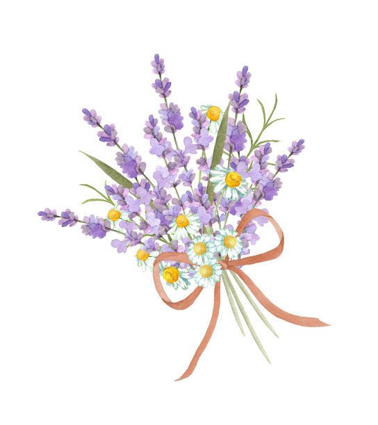薰衣草和洋甘菊花束图片下载