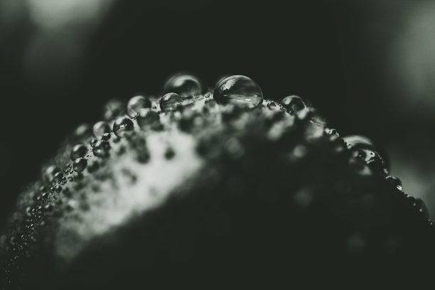 樱桃背景的宇宙抽象。水滴在多汁的成熟樱桃微距照片黑白色调。浆果表面滴一滴的概念，类似于行星的表面。图片下载