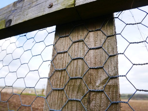 围栏的特写镜头图片下载