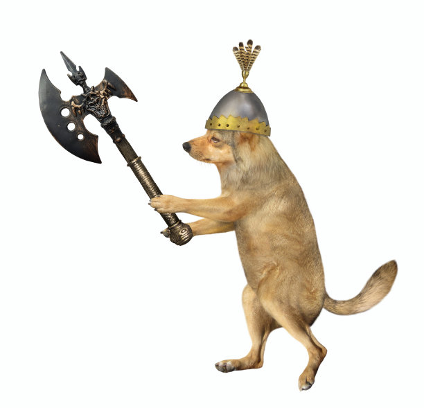 狗用战斧搏斗图片下载