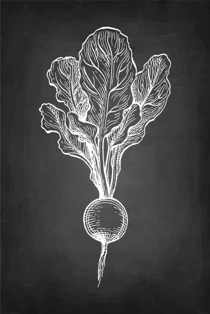 粉笔画萝卜图片下载