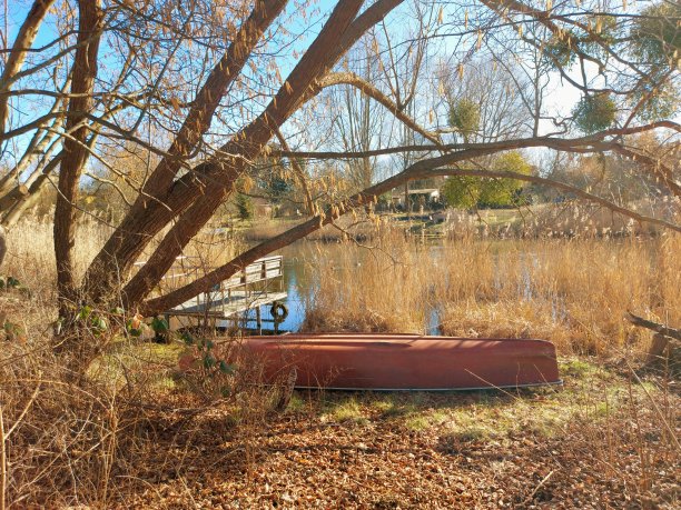 船在自然界中图片下载