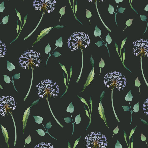 水彩无缝模式。蒲公英的叶子在黑暗的背景上。图片下载