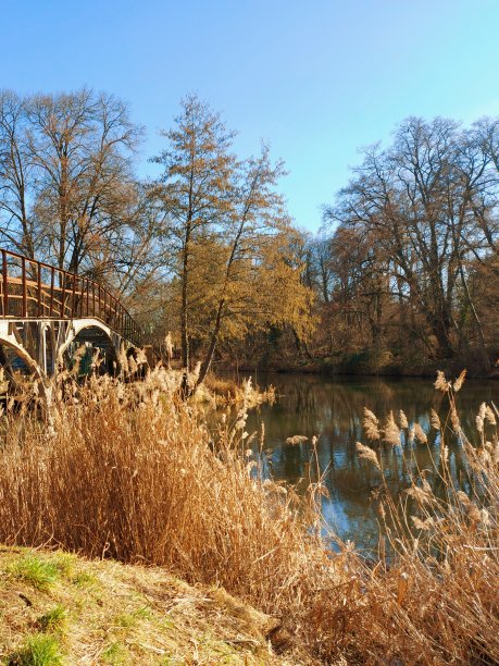 菲诺运河上的田园风光图片下载