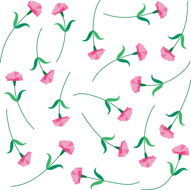 向量绘制粉色康乃馨花集图片下载