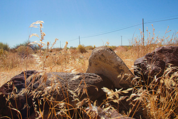 空字段图片下载