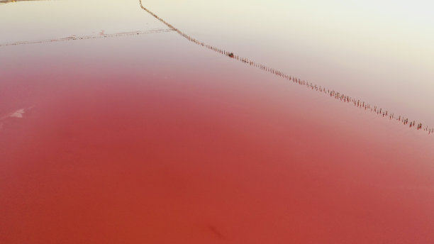 无人机从上往下拍摄的乌克兰敖德萨的一个天然粉色湖Kuyalnik。由于水中的盐分和小甲壳动物艾虫，湖水自然地变成了粉红色。这种奇迹很少发生图片下载