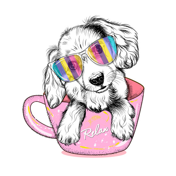 可爱的西班牙猎犬小狗图片下载