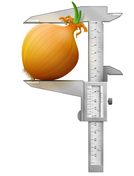 立式卡尺测量普通洋葱图片下载