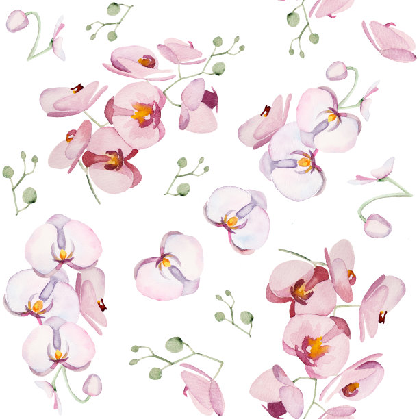 水彩热带兰花花束无缝图案插图图片下载