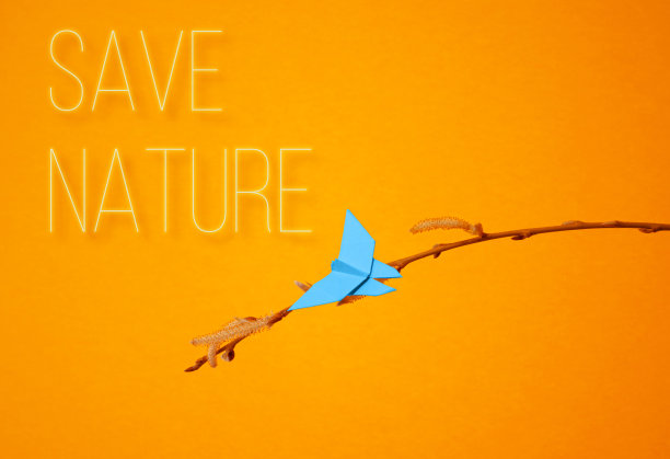 为“地球一小时”、“地球日”、“海洋和水日”和其他ECO日期拍摄“拯救自然生态概念照片”，照片上有植物幼苗、纸上折纸蝴蝶和文字自由空间。图片下载