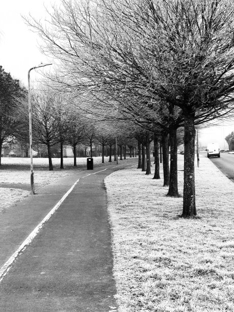 公园路图片下载