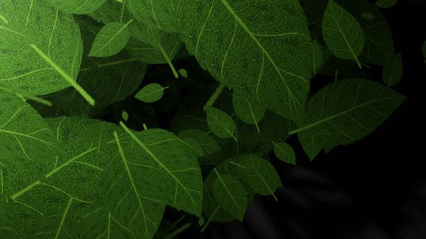 新鲜的下降图片下载