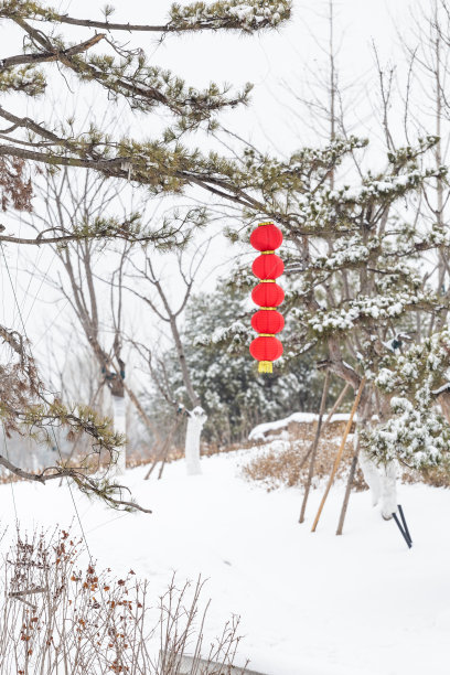 大红灯笼高高挂图片下载