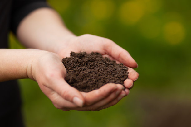 肥沃的土壤。女性手握园地。可持续农业图片下载