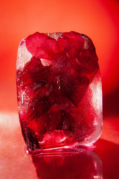 桌上放着红花冰块图片下载