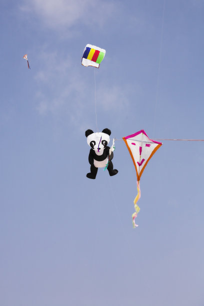 海上的风筝图片下载